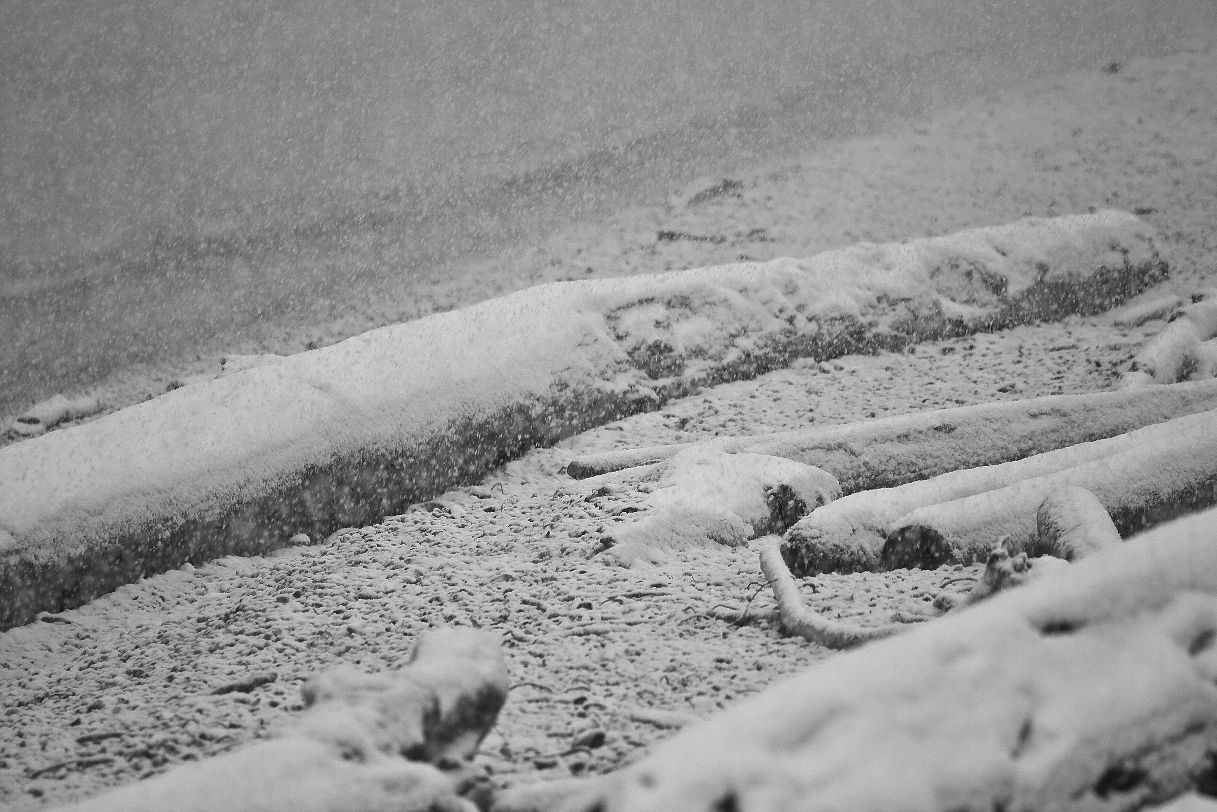 Winter, Salish Sea, B.C.