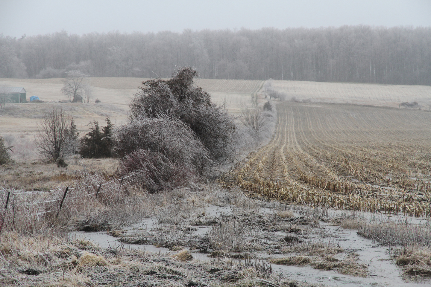 Ice Storm Ontario