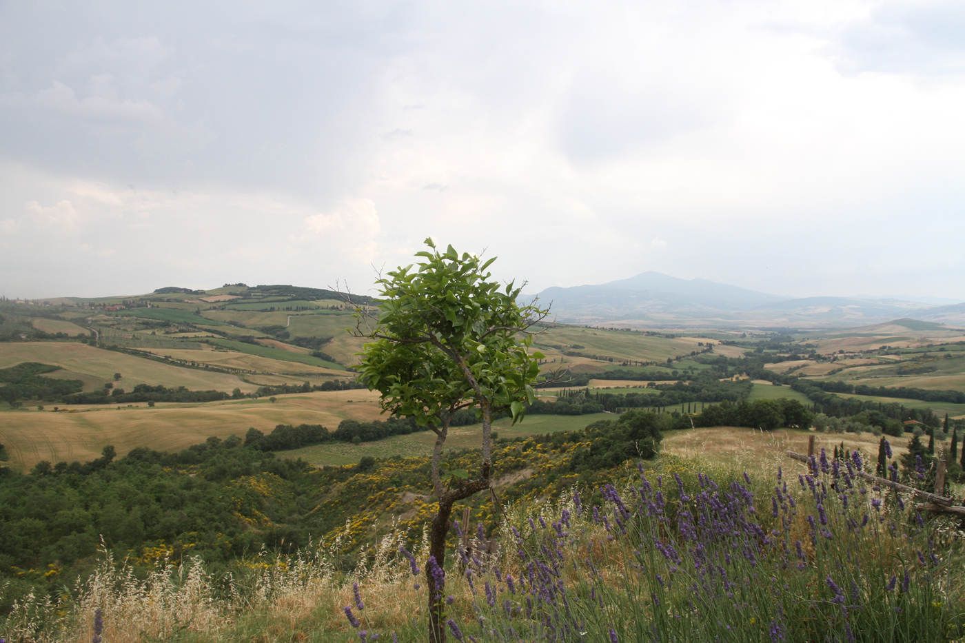 View from San' Antimo Tuscany