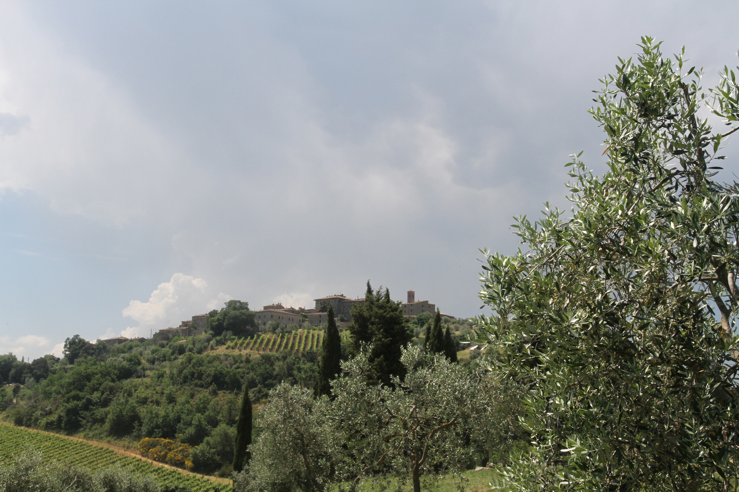 Hill Town, Tuscany