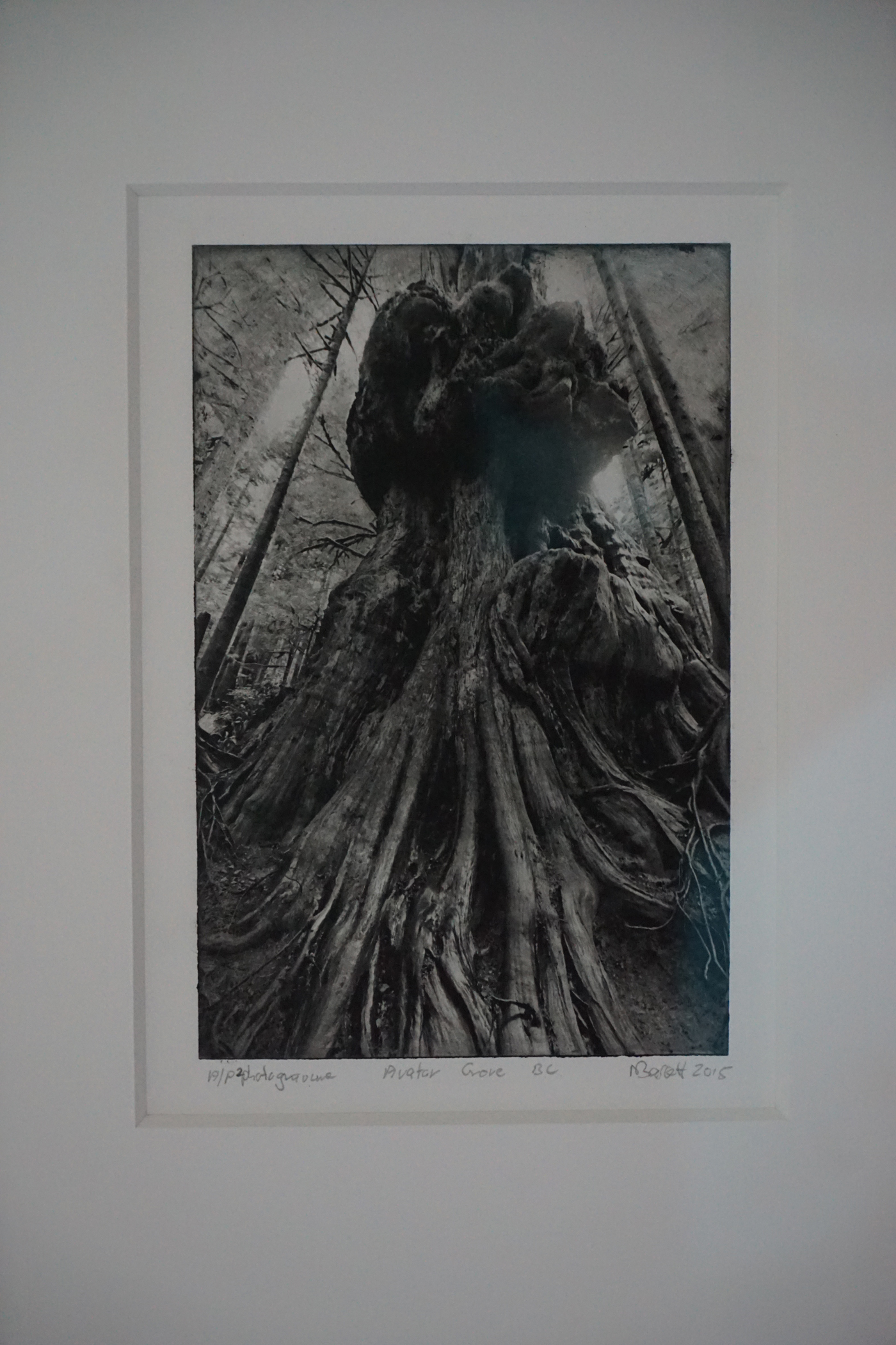 Avatar Grove BC, 2014