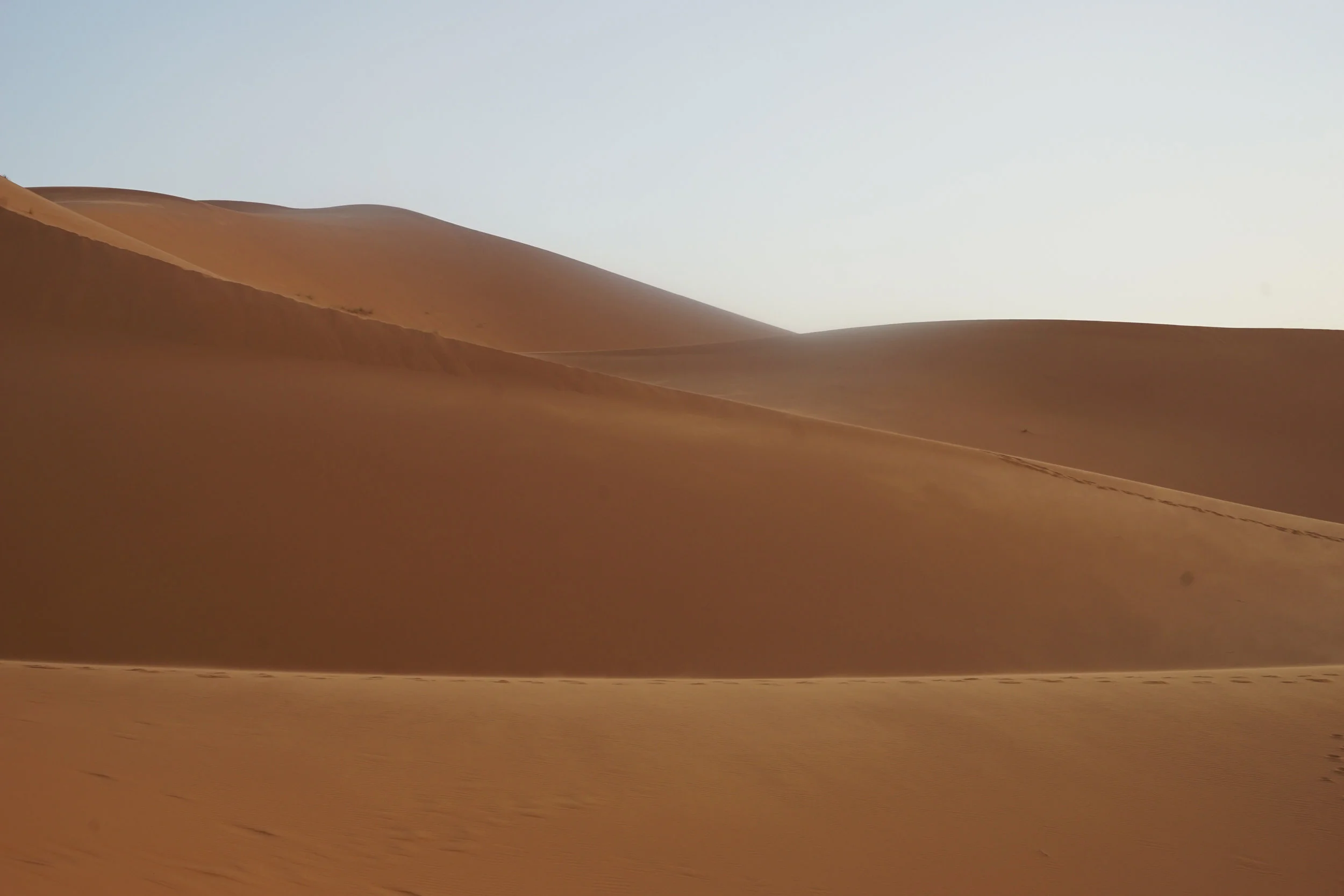 Sahara, Morocco