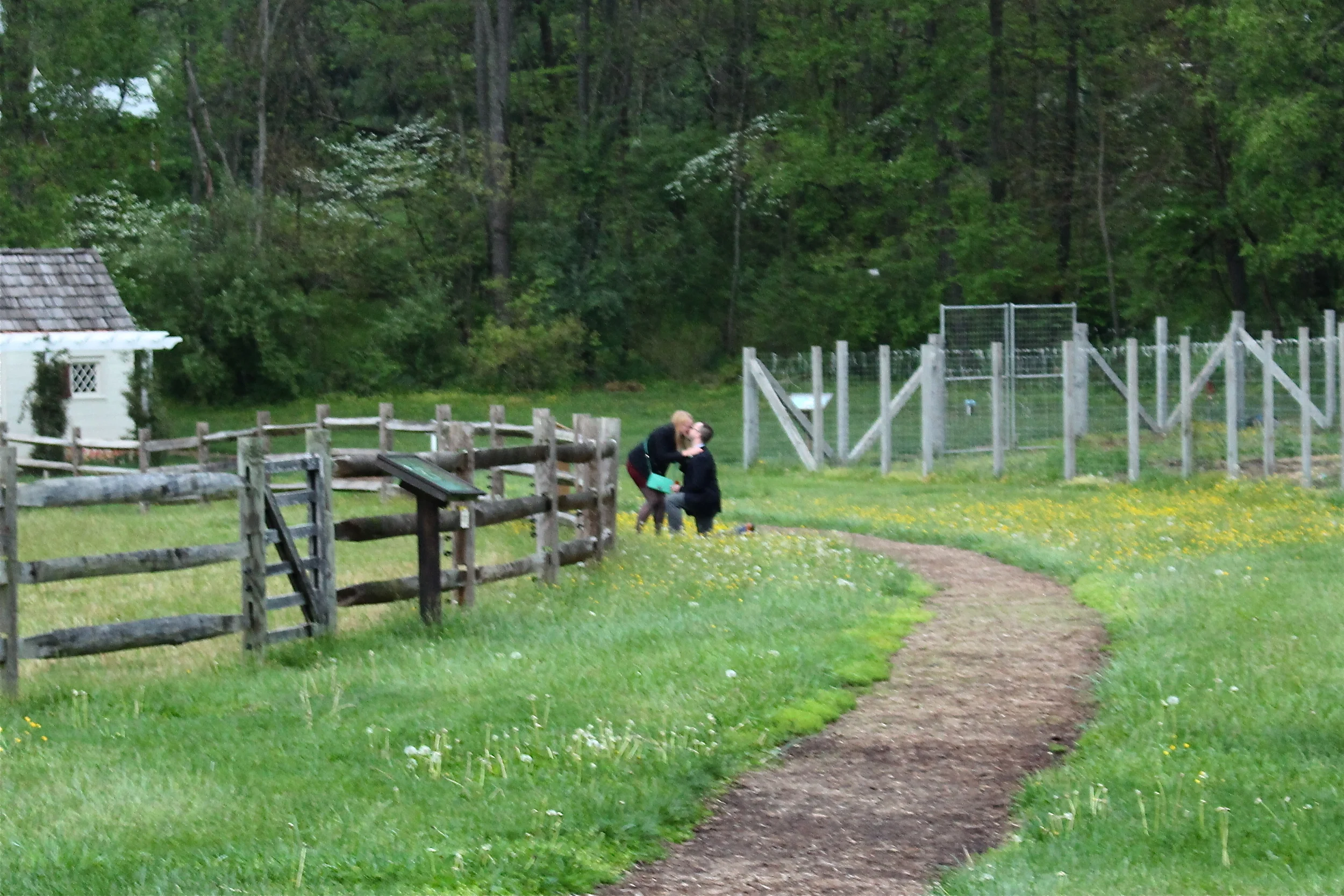 Running to get closer!!