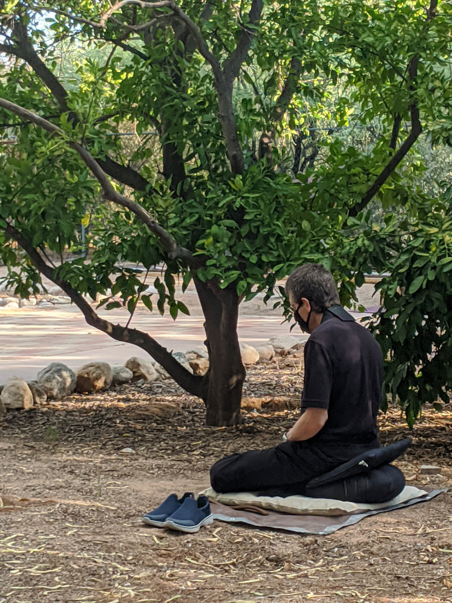 backyard zazen 3.jpg