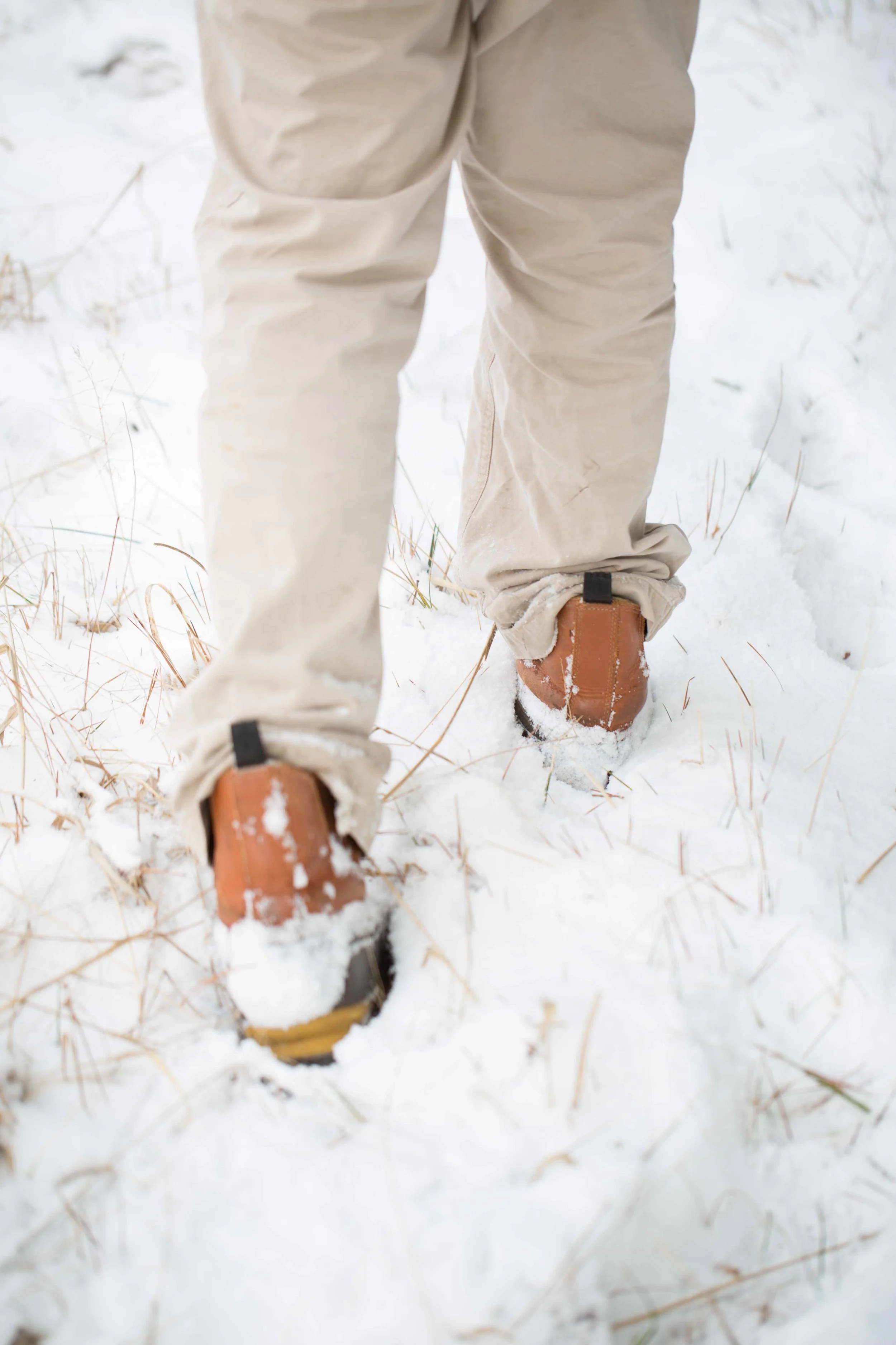 March 4 2014 Snow-070.jpg