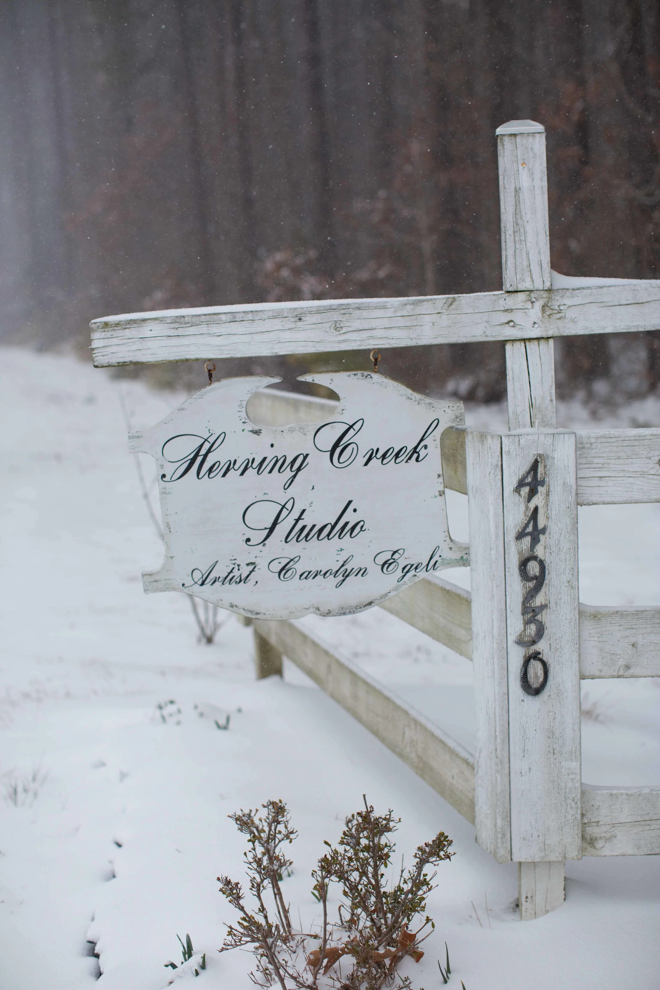 winter walk march 2014-033.jpg