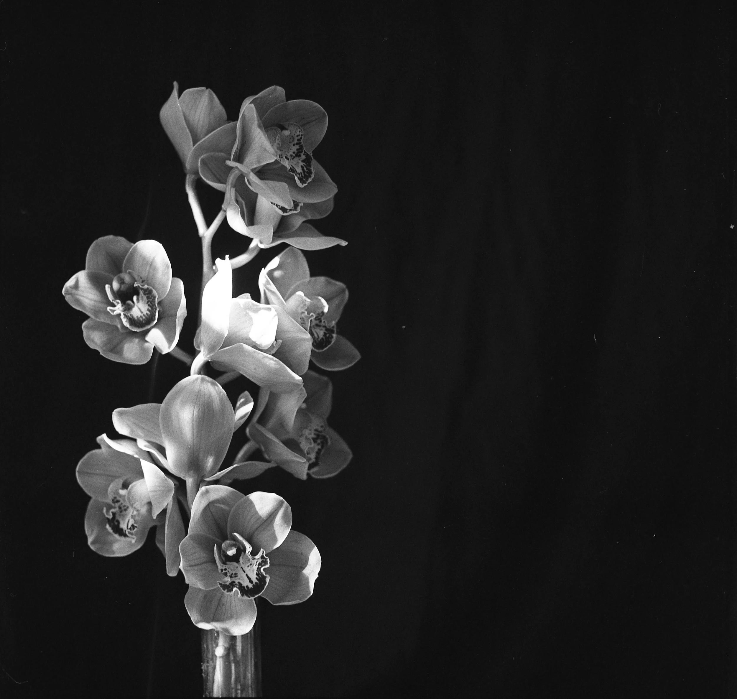 img088.jpg
