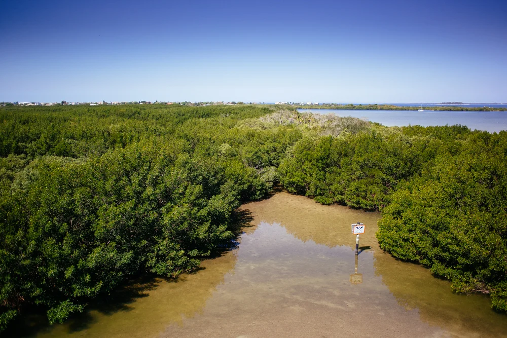 Estuary
