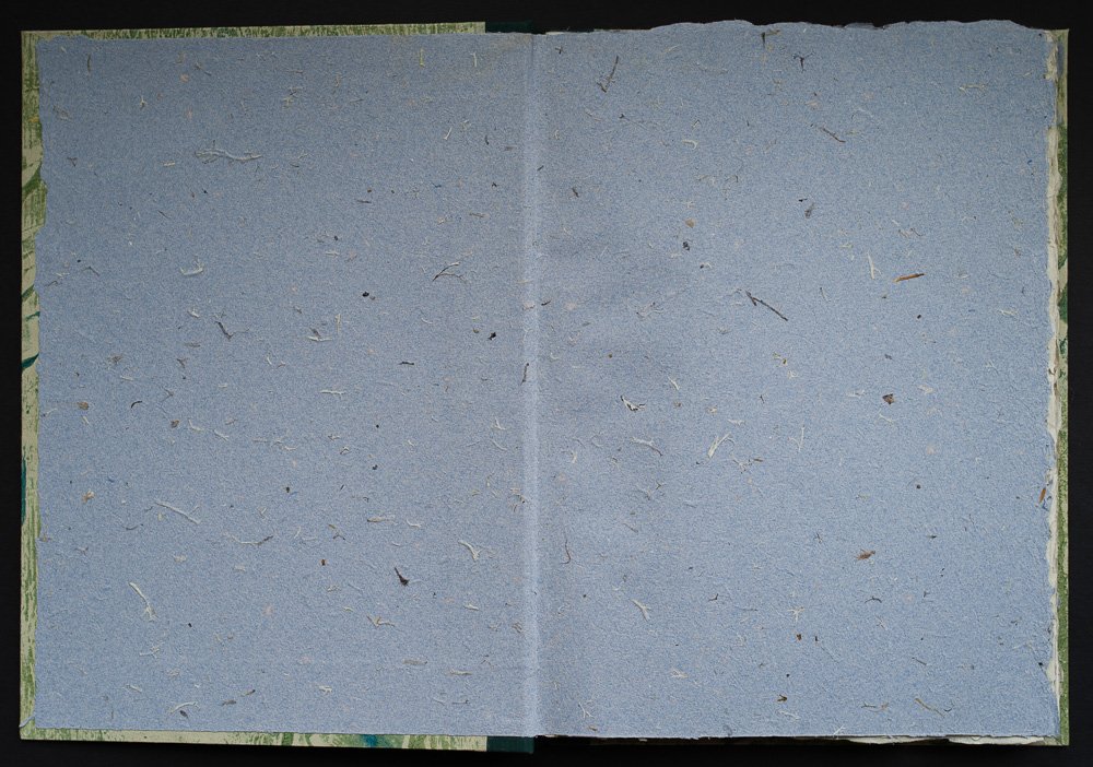 We Are The Songs Of Weather, lichen paper end paper.jpg