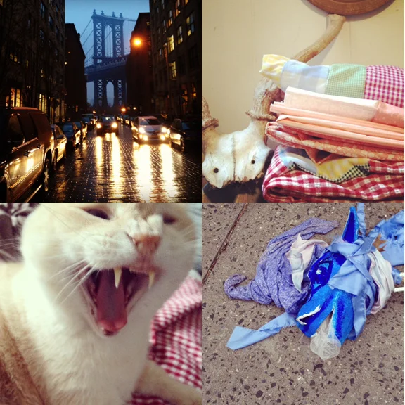1) Working in DUMBO has the advantage of letting me see some great views. January saw some extreme fog, wild rain and snow, and great clouds 2) Quilts are stacking up to be completed. 3) Pit might have been less than thrilled with all the gingham. 4) An unexpected dragon. 