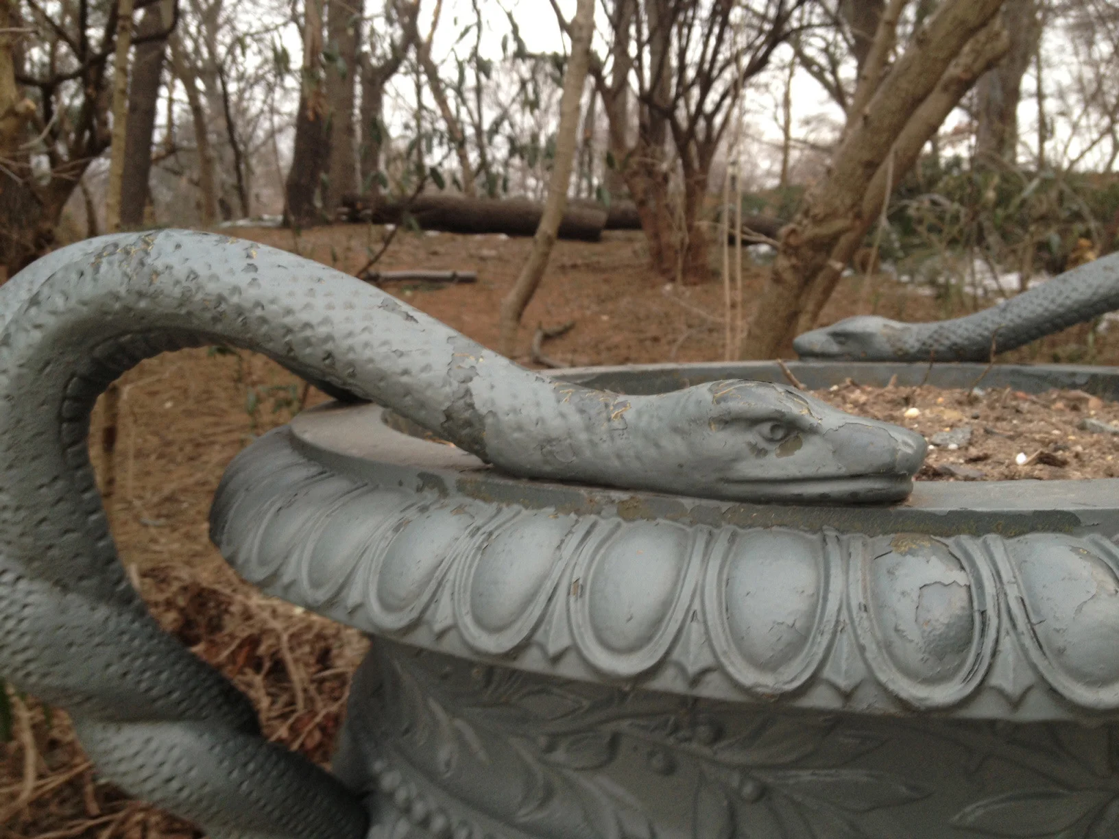 Snakes in the park. 