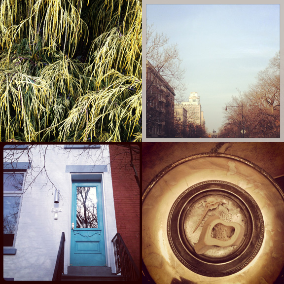 1) Some Spring greens. 2) Big Sky. 3) A burst of teal. 4) Isaac's new bones. 