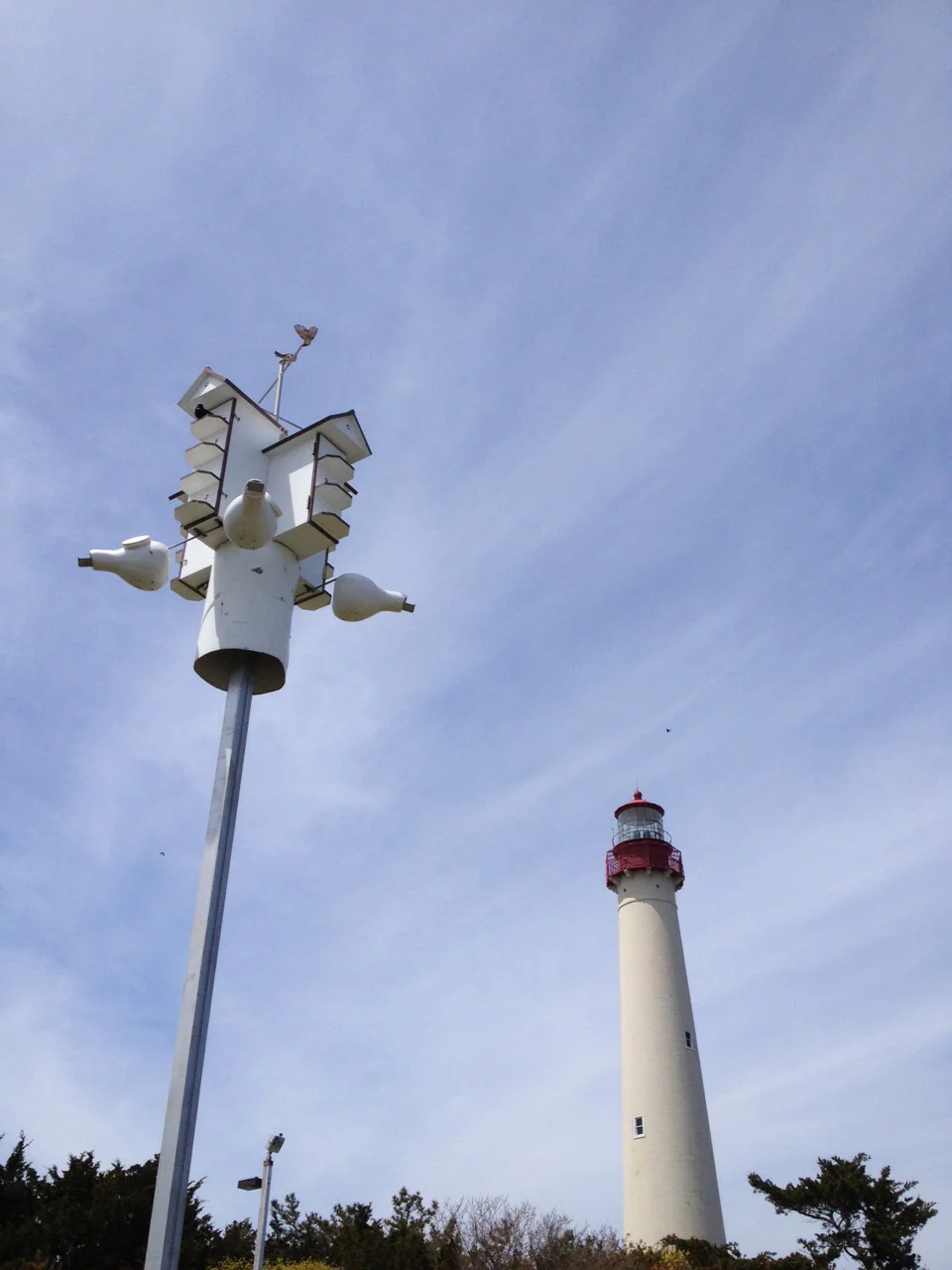The lighthouse has a great little nature museum and Purple Martin hotels. 