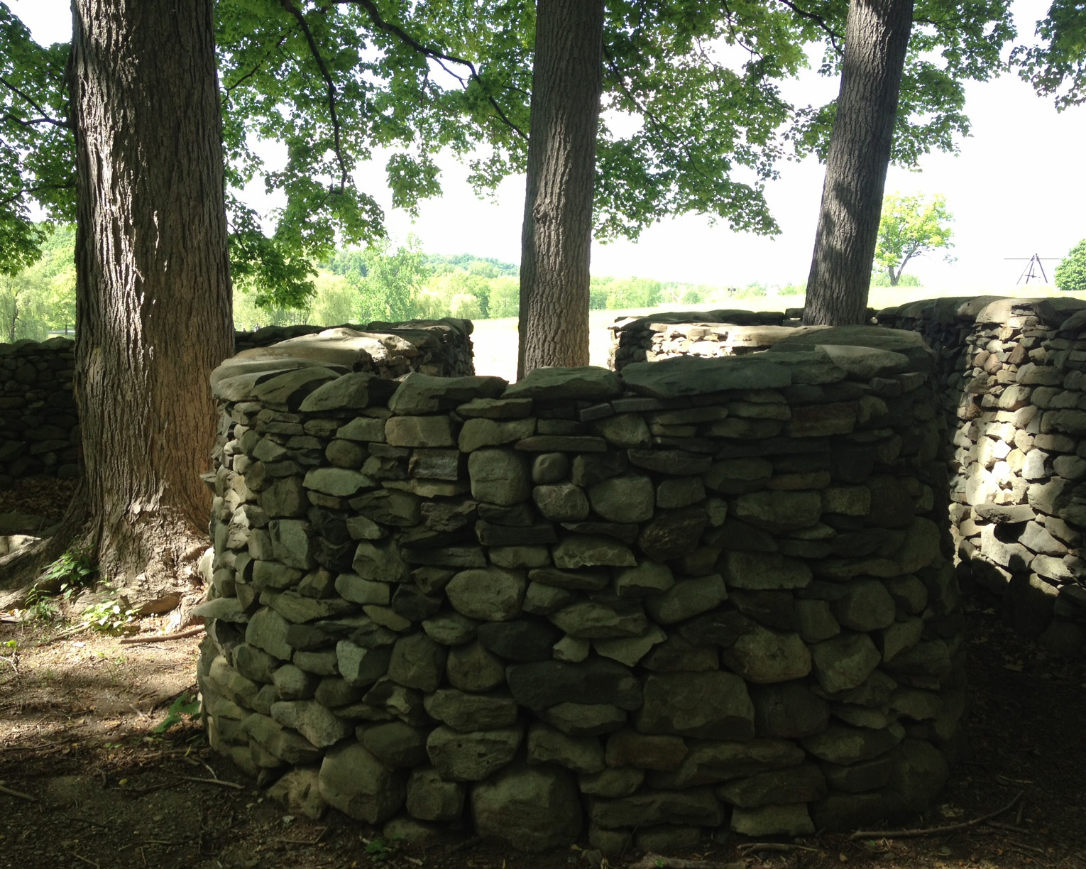 Goldswothry's wall starts our straight and conventional, but ends up winding around trees, dipping down into a lake and snaking up and down hillsides. 