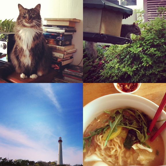 1) The Doctor surveys. 2) A new friend Down the Shore. 3) Cape May lighthouse on a perfect day. 4) Back to work in time for a ramen meeting. 