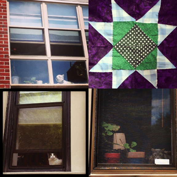 1) Eager Watcher Dog. 2) New work. 3) Pretty stoic in Park Slope. 4) Pretty sneaky on 8th Ave. 
