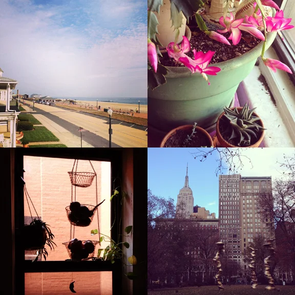 1) Down The Shore, the off season is the best. 2)This xmas cactus knows what time of year it is. 3) Pottering about the house. 4) Rare visit to the city. 