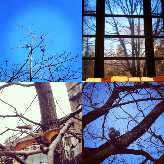 1) Festive Winter skies. 2) Library scenes. 3) Not your usual nester. 4) Squirrel brunch. 