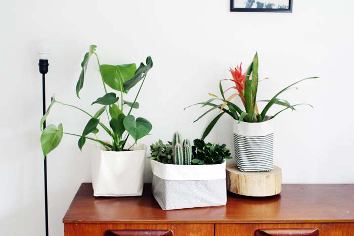 From Fall for DIY