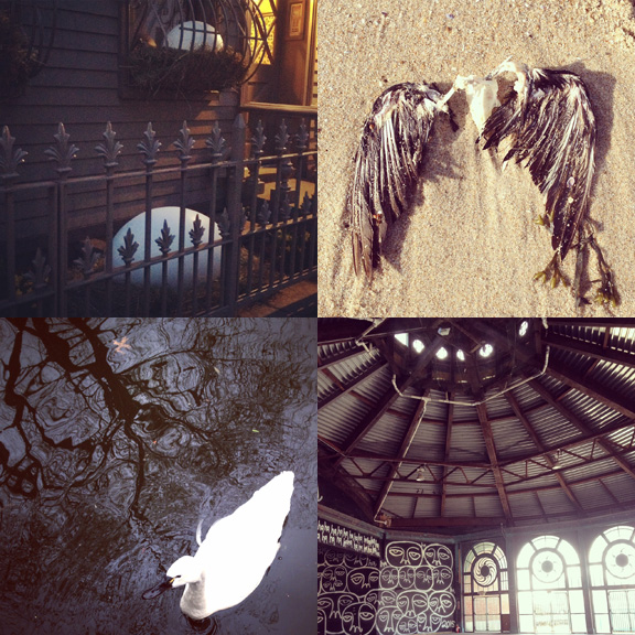 1) Giant eggs for Easter. 2) My black metal album cover. 3) High contrast in Prospect Park Zoo... 4) and in Asbury Park. 