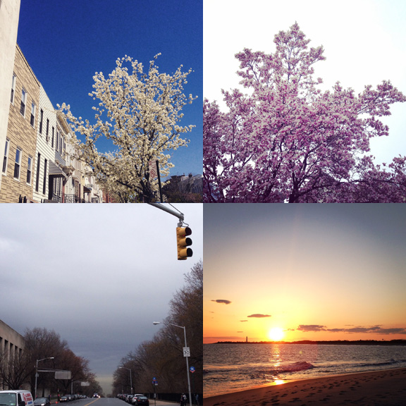 1) Trees blooming in Park Slope... 2) and Kensington. 3) There were a few grey days and April showers. 4) And some spectacular sunsets. 