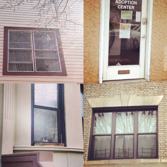 1) Olin Street, Ocean Grove, NJ. 2) West Cape May, NJ. 3) 8th Street, Park Slope. 4) 8th Ave, Park Slope. 