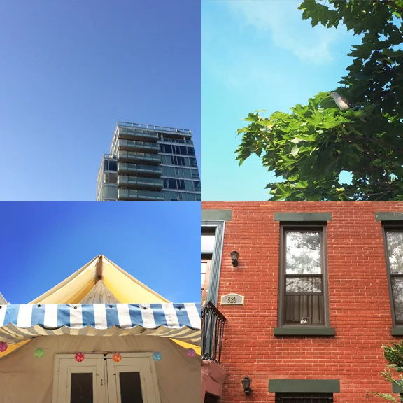 1) Bright blues in Prospect Heights. 2) A bird with bug in Asbury Park. 3) tent time in Ocean Grove. 4) Watchers and brick in South Slope. 