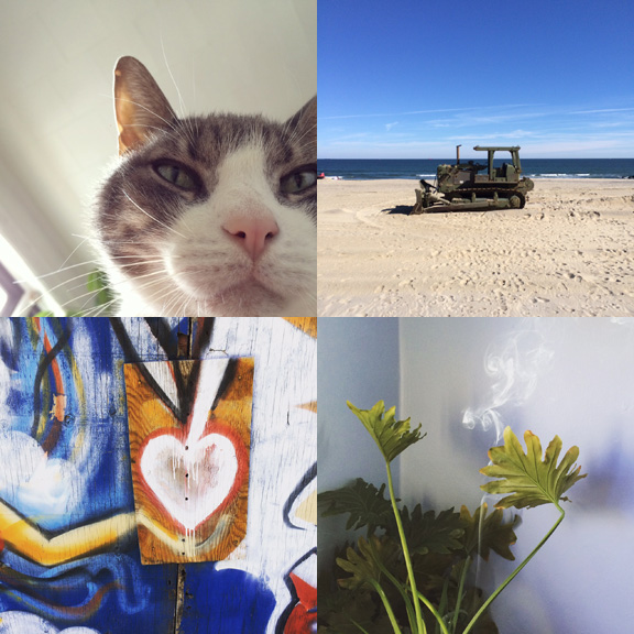 1) My morning view. 2) Sand toys. 3) Brooklyn says goodbye. 4) New growth. 
