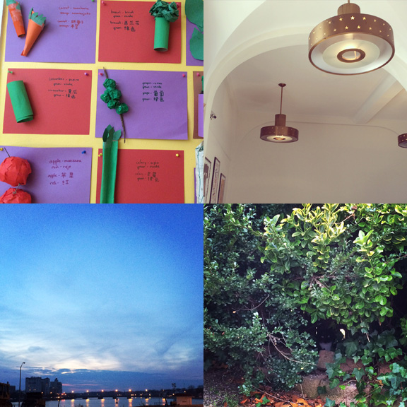 1) A visit to school. 2) A visit to mail. 3) A visit to Deal Lake. 4) A visitor in our backyard. 