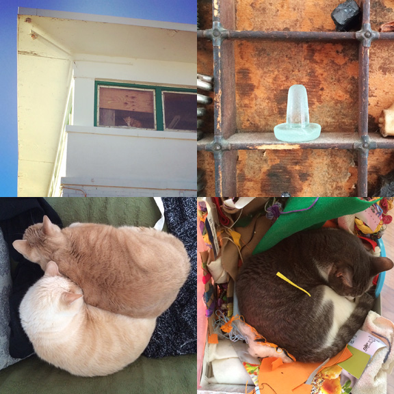 1) Boardwalk #watchercat. 2) Our first bottle stopper (found in December but now displayed). 3) Piles of cats and... 4) ...cats in piles. 