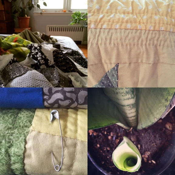 1) Quilting in bed with cats. 2) Yellow bellies. 3) Stacks. 4) Color inspiration? 