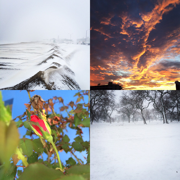 1) Stormy beach. 2) Mad sky. 3) Confused roses. 4) Black and white parks. 