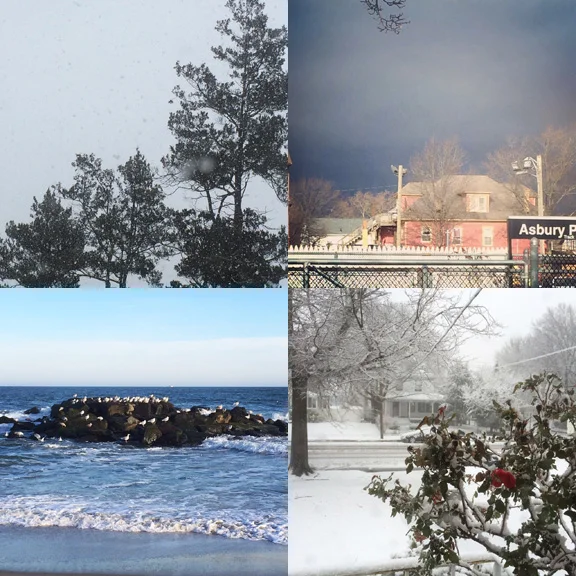 1) snowy back view. 2) Cloudy train view. 3) Sunny beach view. 4) Blizzard rose view. 