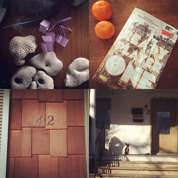 1) Pick a winner. 2) Get a prize. 3) An auspicious address. 4) An attentive #watherdog.