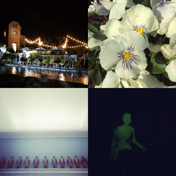1) The pool at The Asbury Hotel; newly opened. 2) High Contrast in AP. 3) Ever expanding Bossk collection. 4) GITD ghoul. 