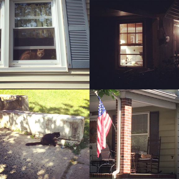 1) Tom as #watchercat. 2) Watcher in the dark. 3) Neighbor. 4) All american #porchcat. 