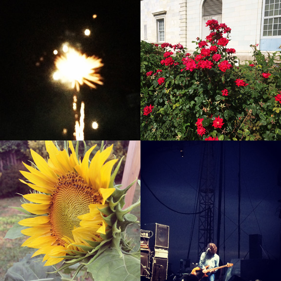 1) Local fireworks. 2) Local roses. 3) Backyard surprises. 4) Favorite sights. 