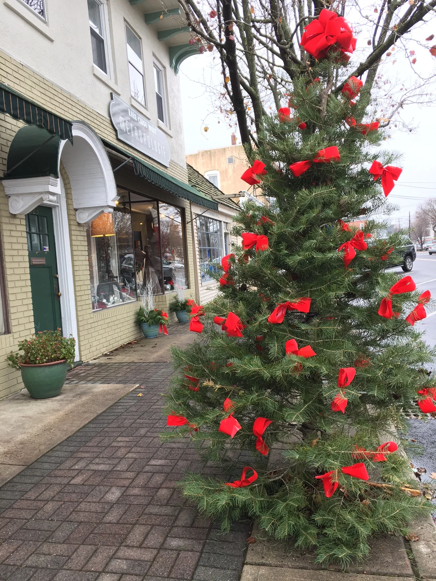 And of course there are xmas trees everywhere! Manasquan, NJ