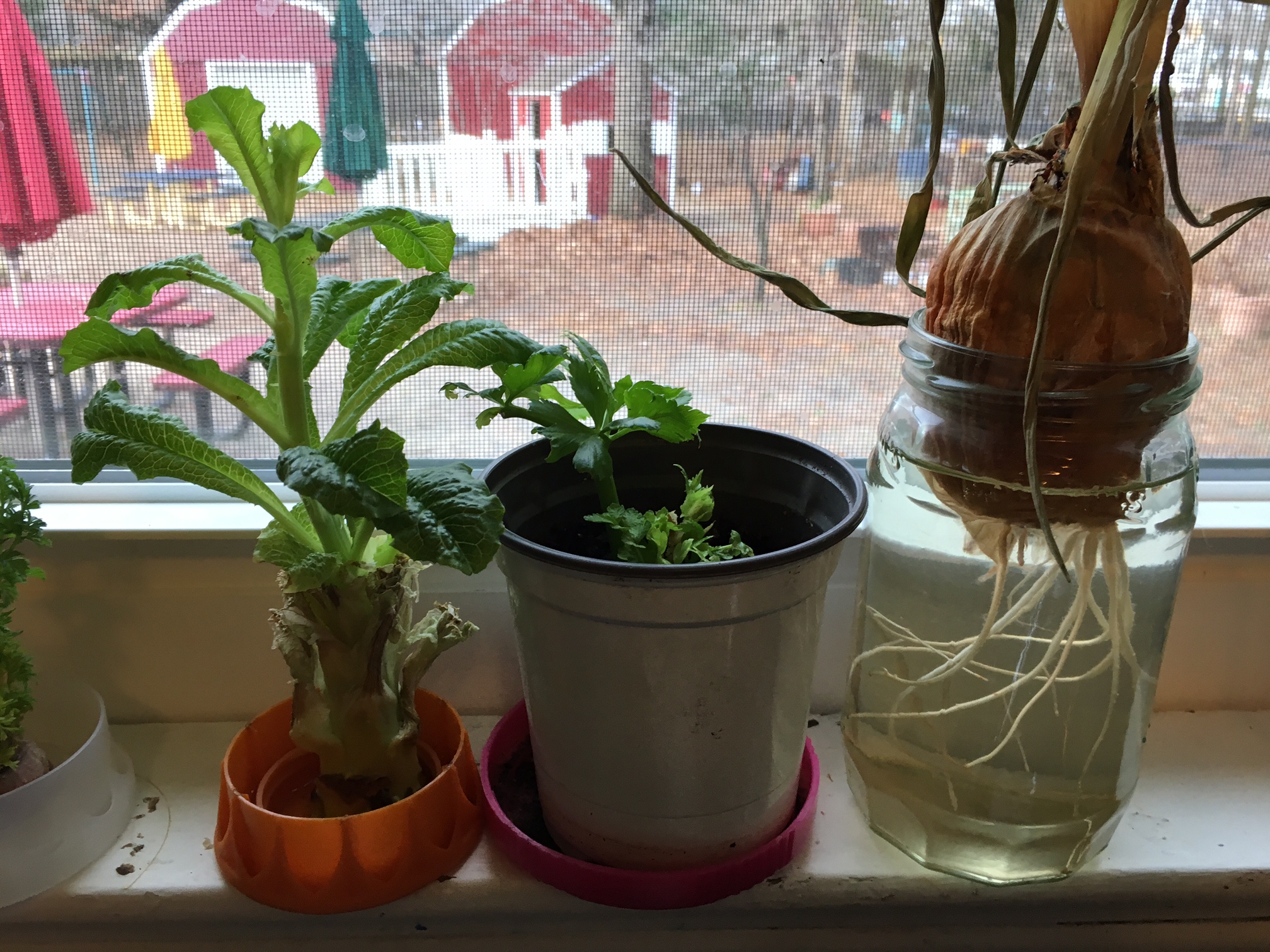 Teaching at The New School this month, I've been observing some of their growing experiments. 