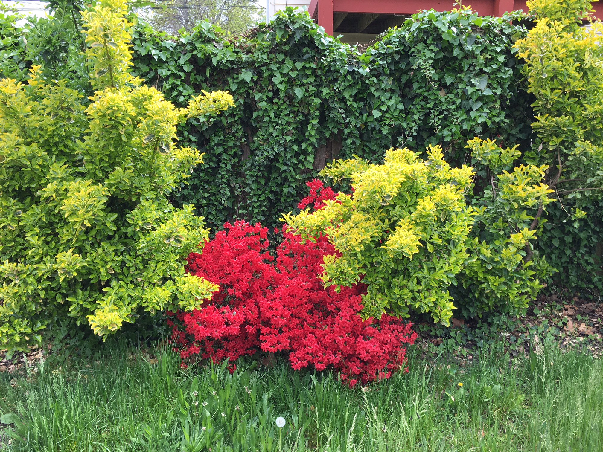 Those colors are surreal!