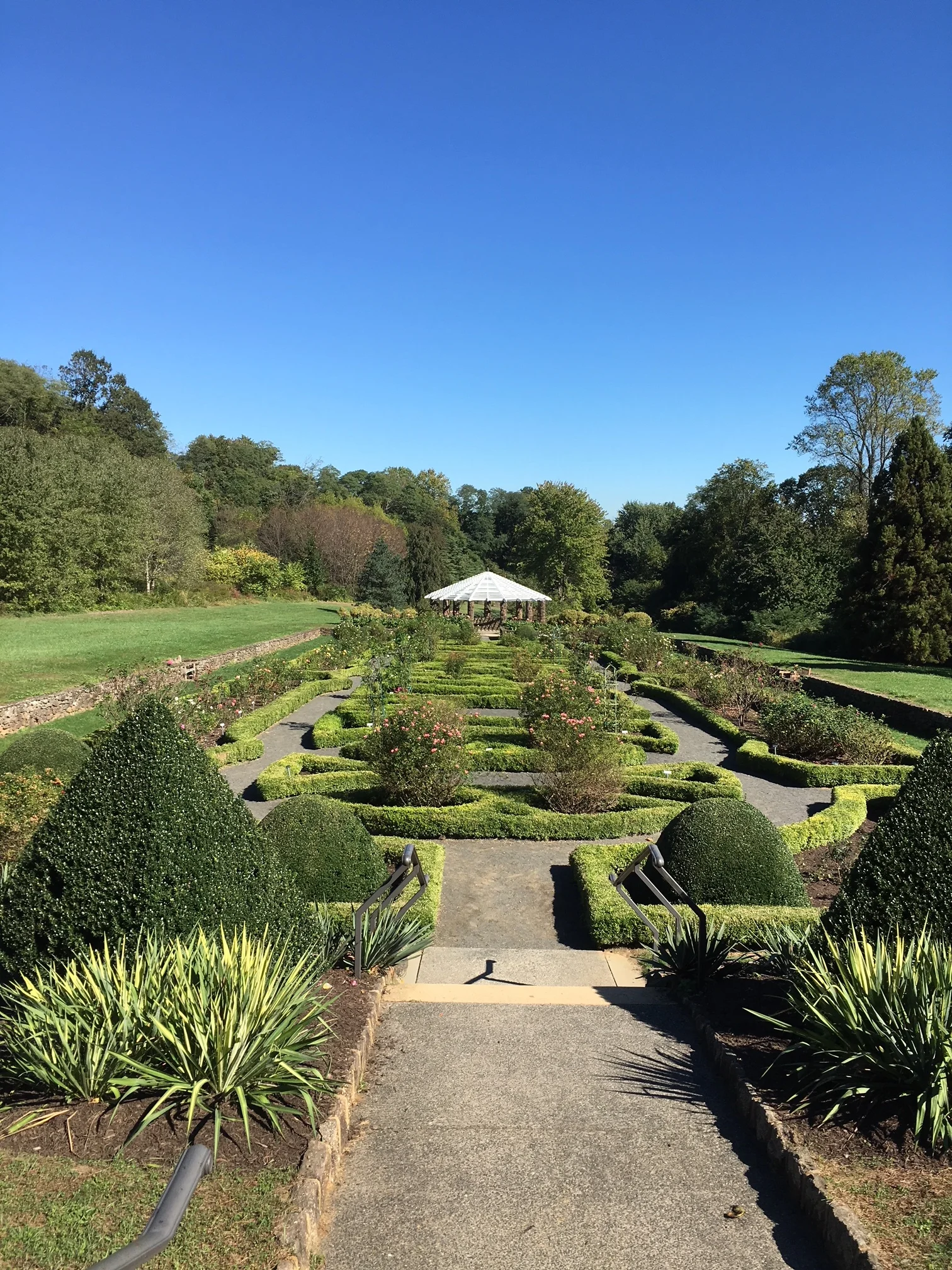 We were a little late for the rose garden in it's prime. Next year! 