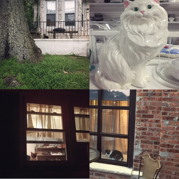1) There were a lot of hot Summer #watchercats this month. This one was hanging out on Comstock Street. 2) Not a #watchercat but a watching cat none the less. 3) My own baby, watching. 4) Air conditioned on 2nd Ave. 