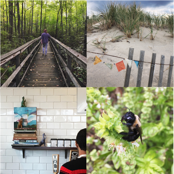 1) The Great Swamp. 2) A prayer for the beach. 3) Dinos in strange places. 4) Bee mine.