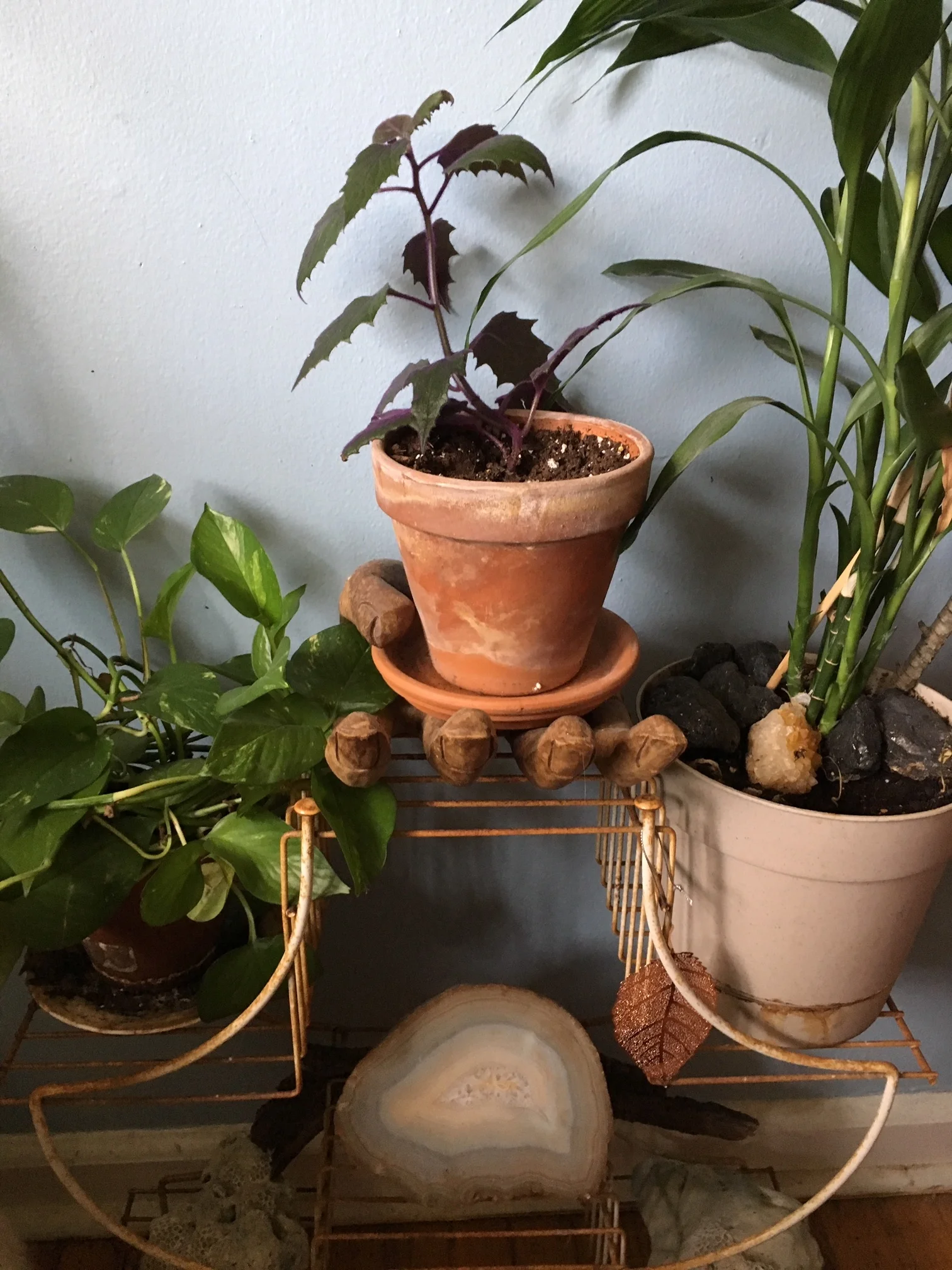 I moved all the plants around this month. It makes some fun new corners around the house.