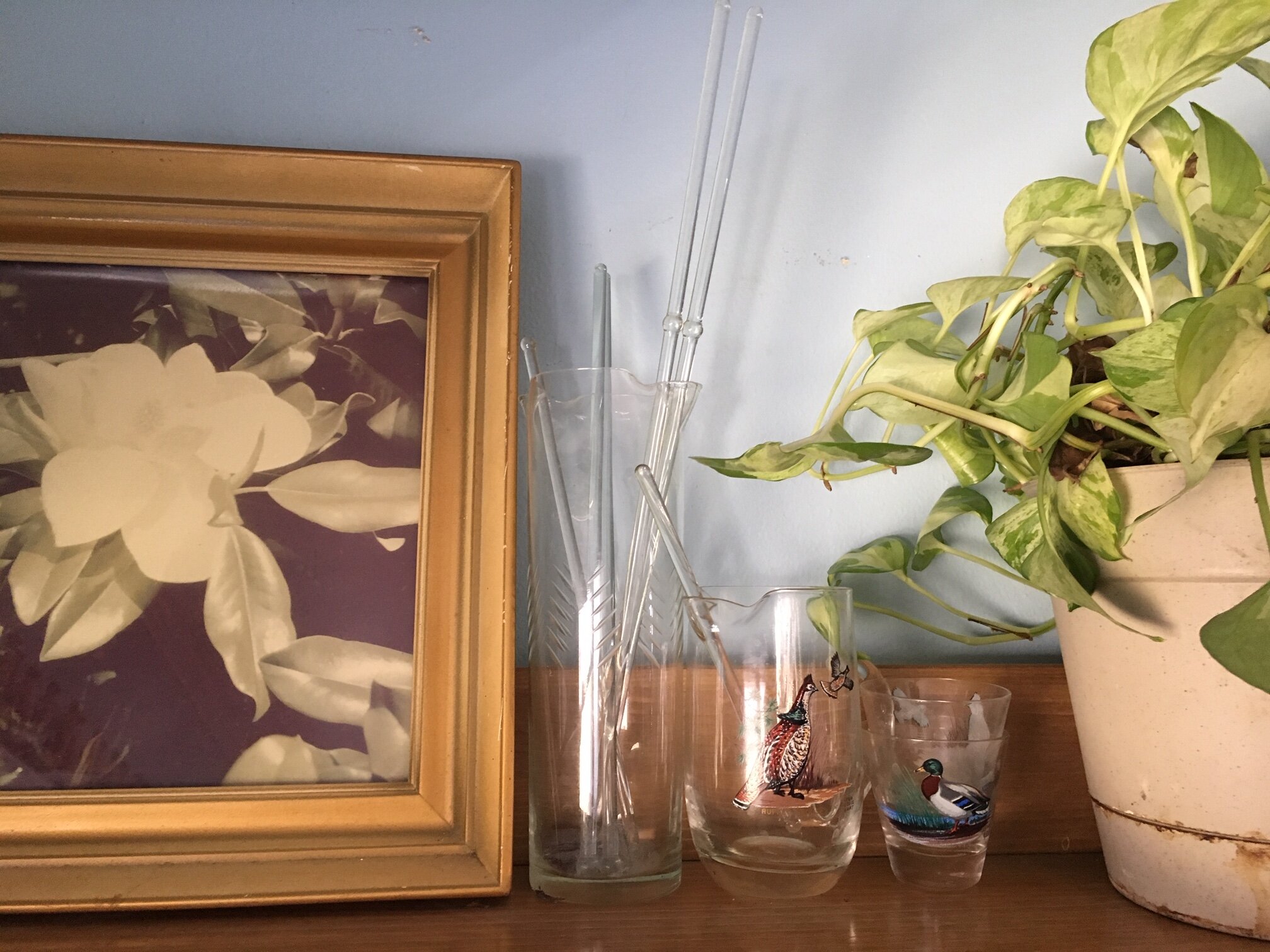 Dusting and rearranging the house plants.