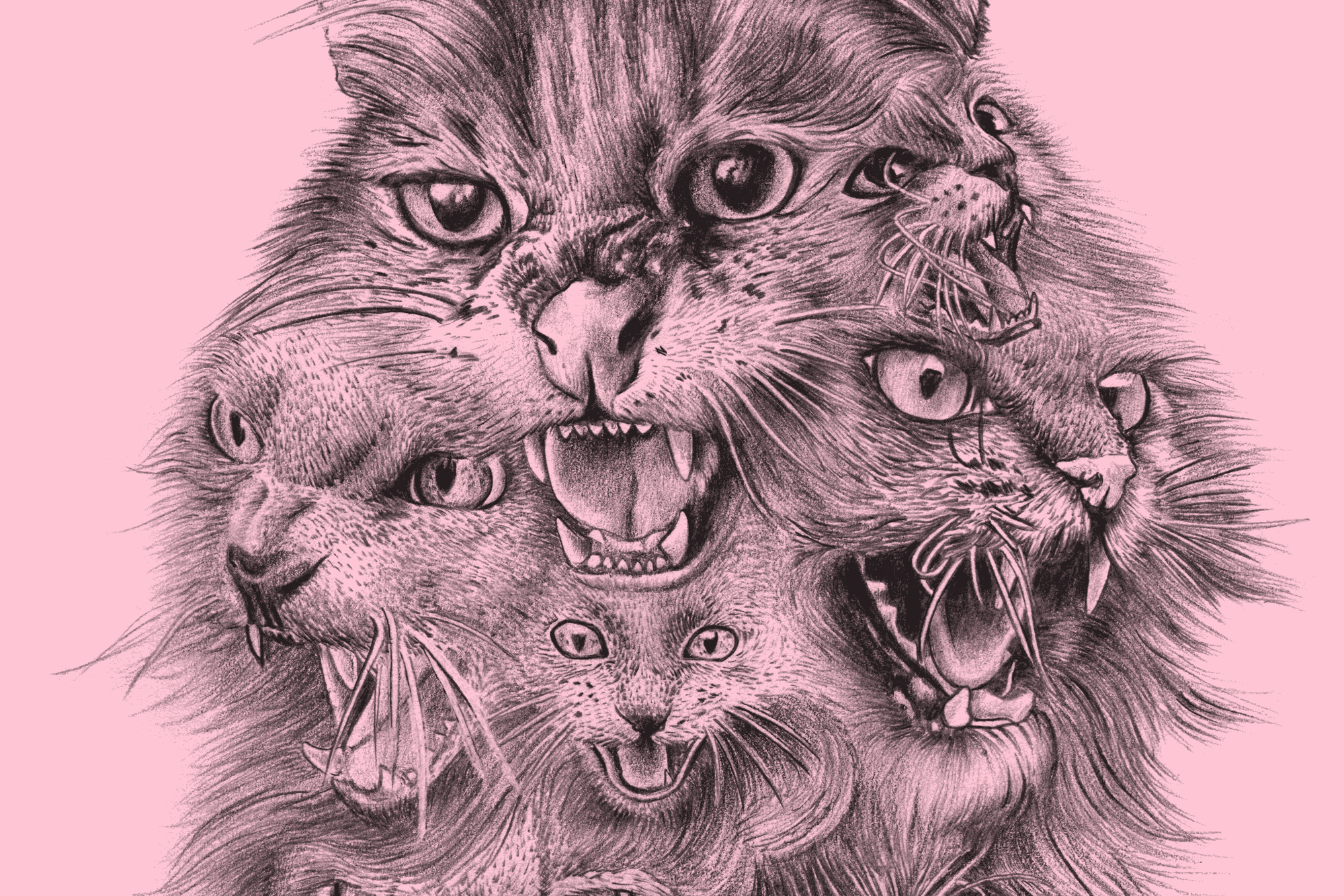 angrycats_fortifem.png