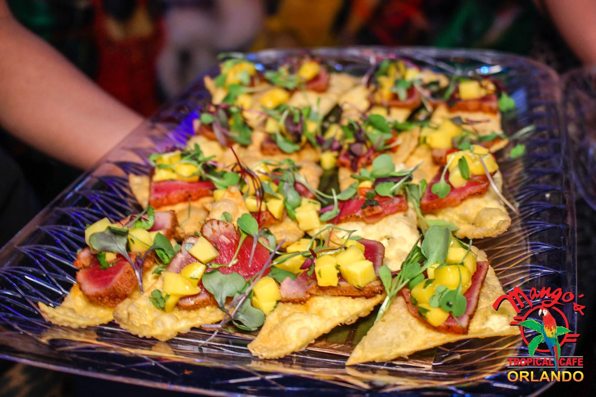 Seared Tuna on Wonton Crisp.jpg