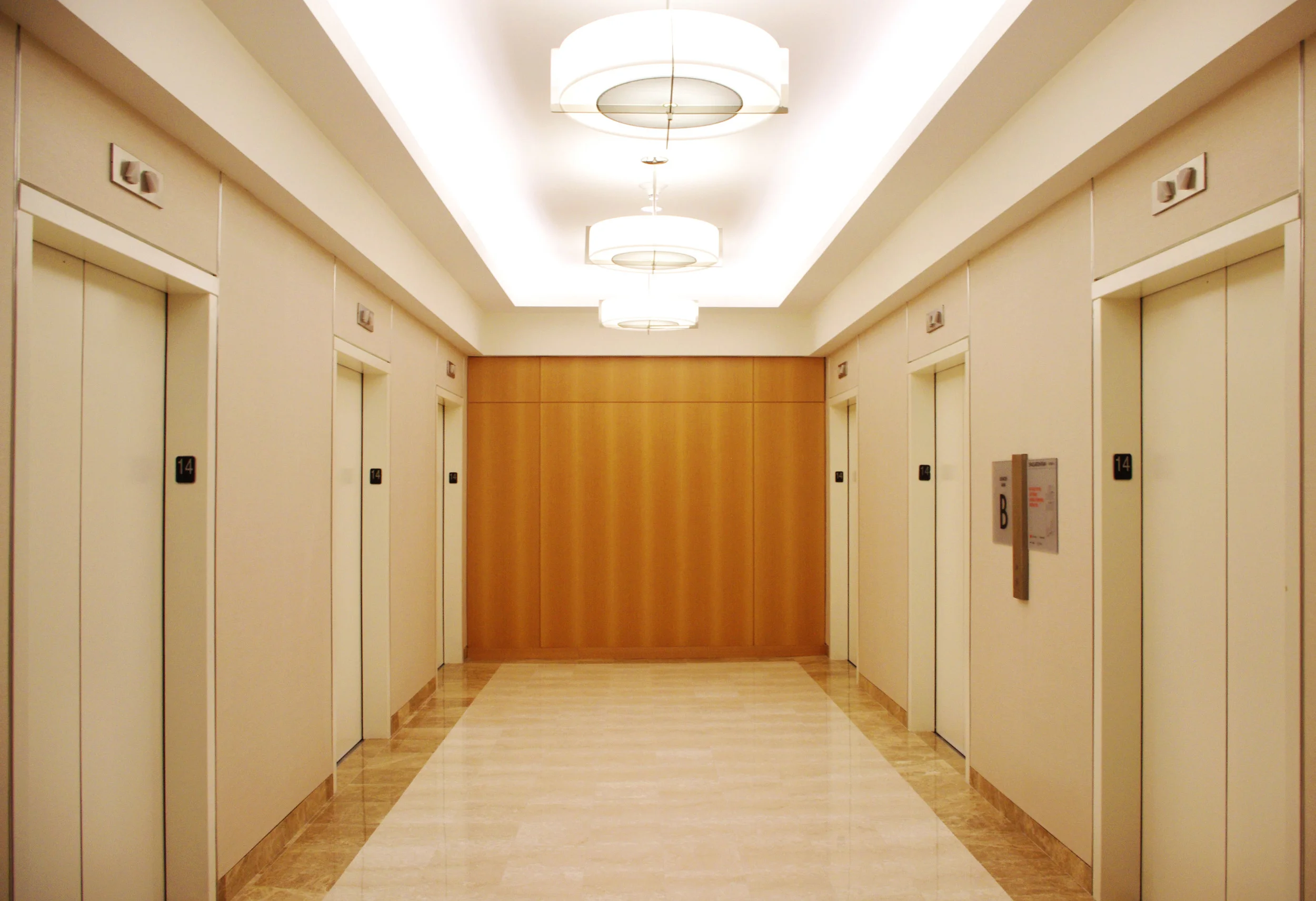 IMGP3324-2.jpg