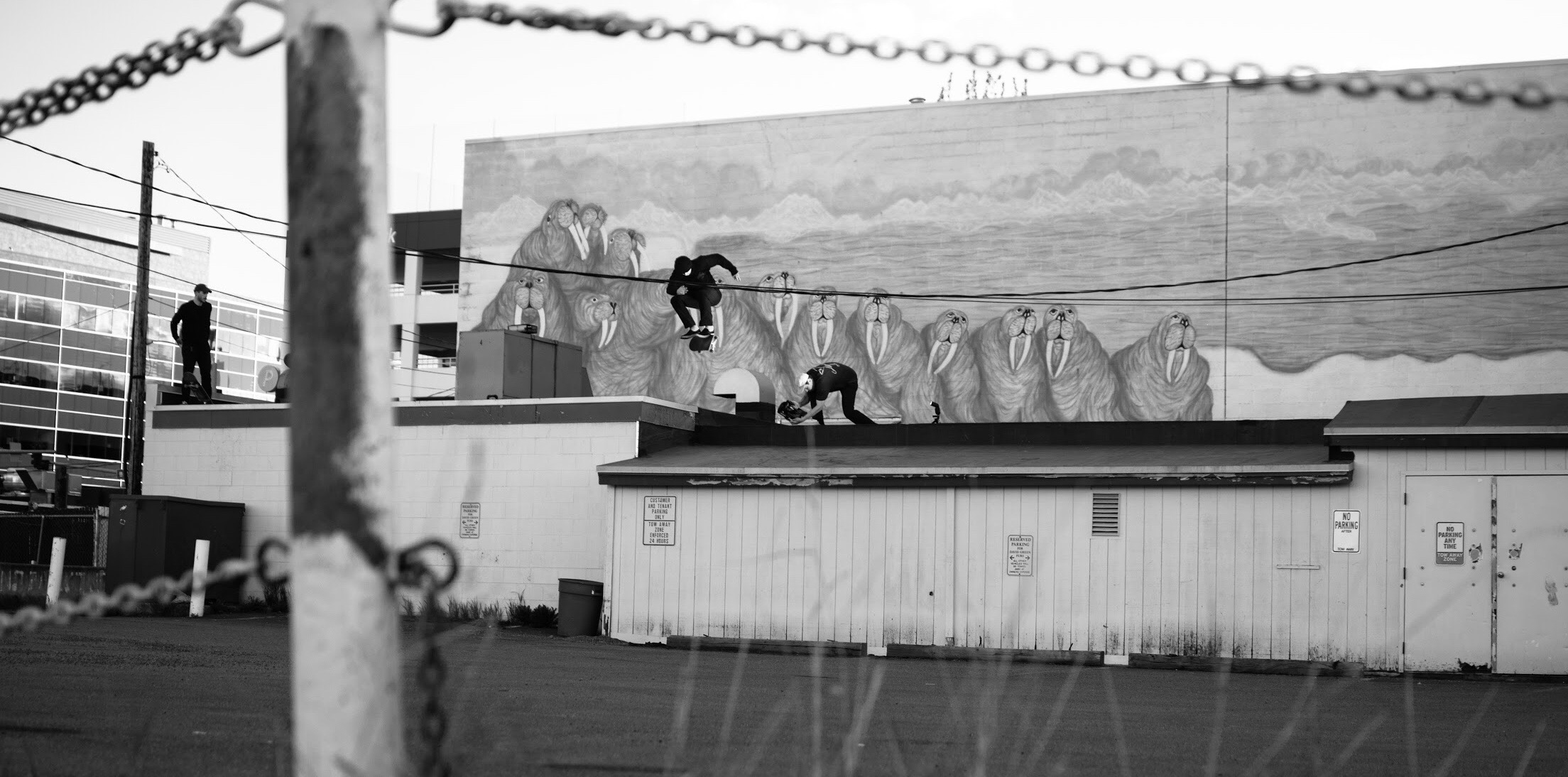 Tim Blevans / By Brandon Johnson