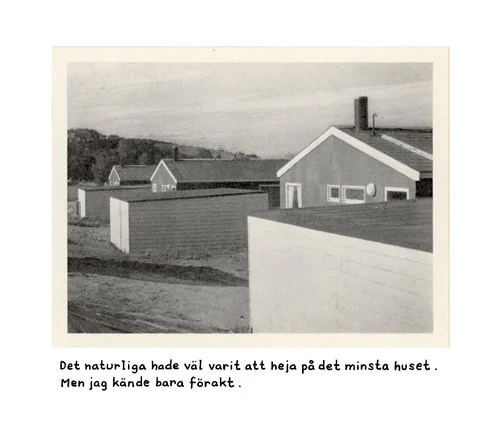 minsta_huset.jpg